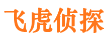 武冈商务调查